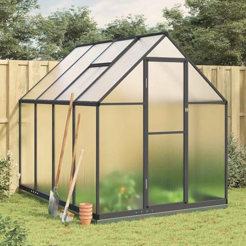 Runheo Serra con telaio di fondamenta antracite, 224 x 169 x 202 cm, in alluminio, serra per pomodori, piante, serra in vetro, per coltivazione di verdure, resistente alle intemperie, balcone