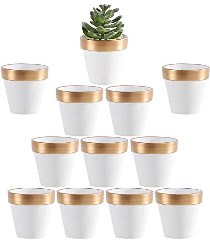 Yishang Lot de 12 mini pots en terre cuite avec trous de drainage, blanc et doré, 6,3 cm