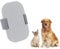 Beowanzk Thickened Dog Nail File, Nail File for Dogs, Dog Claw File for Dog Nail and Paw Sharpening, Training Dog Handshake, Pawin