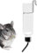 Gourde - Distributeur d'eau en cage - Système d'hydratation anti-fuite pour hamsters, cochons d'Inde et chinchillas, distributeur d'eau suspendu, bec verseur en acier inoxydable