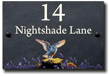 Beautiful Personalised Bird Slate House Sign – Door Number or House Name – Outdoor Garden Plaque with Robin, Blue Tit or Owl – Premium 10mm Slate – Woodland Design 30x20cm (Grey/Black, Barn Owl)