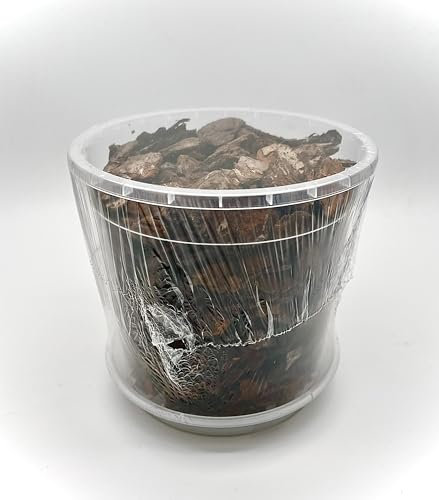 Blooming Weather Orchid Bark Repotting Kit, Pine Bark Mix with Pot and Saucer, Multiple (17 cm Pot)