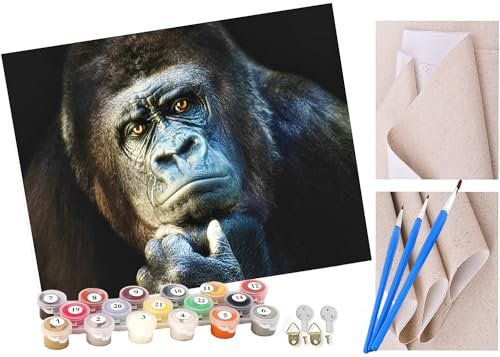 Peinture par Numéro Adulte Bricolage Tableau Peindre par Nombre pour Enfants Jouets à peindre cadeaux peints à la main singe drôle Home Decor 40x50cm