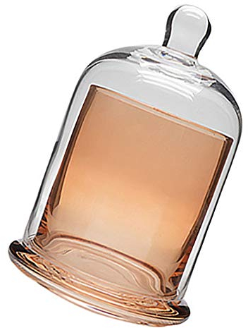 Chandelier en Verre Coupe-Vent Photophores Votifs Capot D'huile Essentielle Bougeoir à La Maison Cloche en Verre Gâteau Au Citron Cloche Transparente Fleur Préservée Manuel