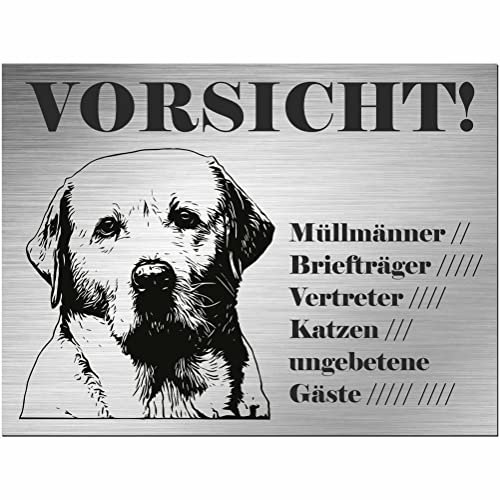 Indigos UG - Schild Labrador - bedruckt - Vorsicht Müllmanner usw - Aluverbundplatte Edelstahl Look - 20x15 cm - Spruch - Deko Geschenkidee für Ihren Hund - Zaun - Türschild - Hinweisschild
