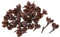 barenx 50 Stück natürliche getrocknete Blumen Nussschale rustikale Dekoration für verschiedene Anwendungen, Kränze, Girlanden, Tischdekorationen, Hochzeit, Weihnachten