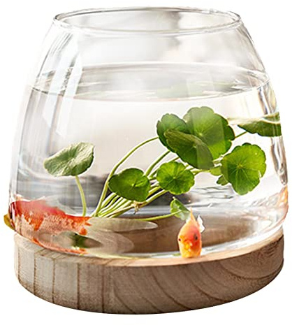 PW TOOLS Mini Aquarium, Glas Fischschale, kleine runde Klarglas vase, Desktop Aquarium mit Holzsockel, Hydrokultur Pflanzenvase, für Heimbüro Blumenarrangement