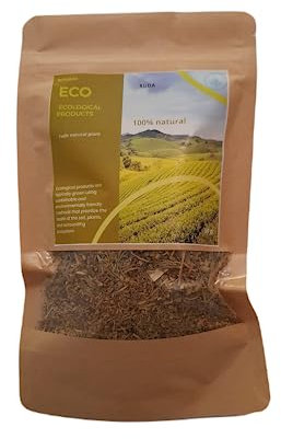 RUDA PLANTA NATURAL-Ruda Seca-Ruda para Limpieza-Planta Ruda Natural-Ruda Infusion-Ruda-Planta Ruda Macho y Hembra-Planta de Ruda Natural-Ruda Infusion-Ruda Seca-Ruda Te-Ruda para Quemar-Ruda-
