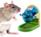 Jevnd Rat Enrichment Toys, Interactive Foraging Toys for Rats, Intelligence Growth Rat Enrichment Puzzle Games, Treat Dispensing Slow Feeder for Rats Cage Toy, Bird Foraging Toy for Parakeet Conure