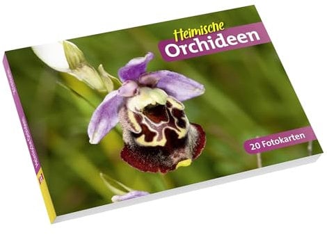 Heimische Orchideen: 20 Fotokarten
