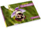Heimische Orchideen: 20 Fotokarten