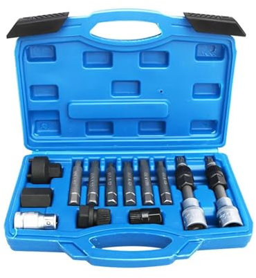 Werkzeugsatz for Ausbau von Riemenscheibe, Lichtmaschine und Freilaufmotor, 13-tlg