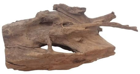 AquaOne Aquarium Wurzel Deko XL Mangrovenwurzel Aquascaping Echtholz Nr.3062 Holz Dekoration Pflanzen Wasserpflanzen Landschaft Moos Natur
