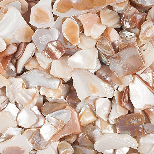 Eurosand Muschelplatten 10.0-20.0 mm Naturmaterial 330.0 ml Sommer Dekoartikel Muscheln für kreative Gestaltung und Dekoration
