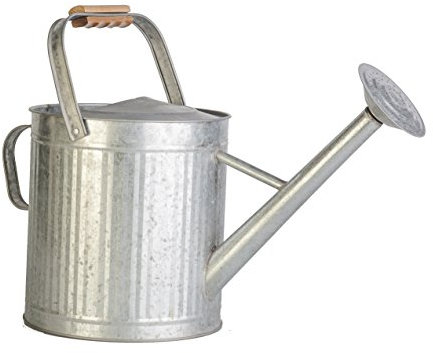 Panacea 2 Gallon Vintage Arrosoir galvanisé avec poignée en Bois