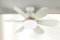 GuKKK Ventilador Techo con Luz y Mando a Distancia, 18'' LED Regulable Lampara Ventiladores de Techo con Luz, Lampara Ventilador Techo con Ventiladores Silencioso, 3 Velocidades 5 Aspas Temporizador