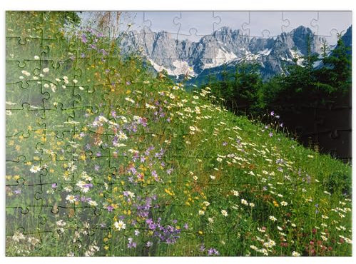 MyPuzzle Blumenwiese mit Blick zum Wilden Kaiser, Tirol, Österreich - Premium 100 Teile Puzzle - MyPuzzle Sonderkollektion von Puzzle Galaxy