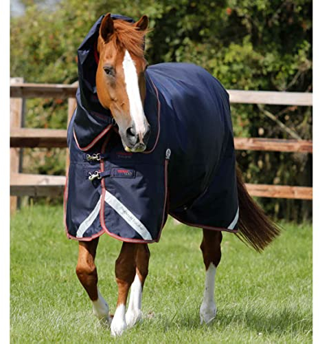 Premier Equine Outdoor-Decke für Pferde mit Nackenrolle Titan 100 g