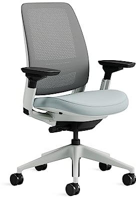 Steelcase Series 2 Ergonomischer Bürostuhl mit LiveBack Lumbalstütze und 4D-Armlehnen Sturmhorizont, 72 x 64 x 101