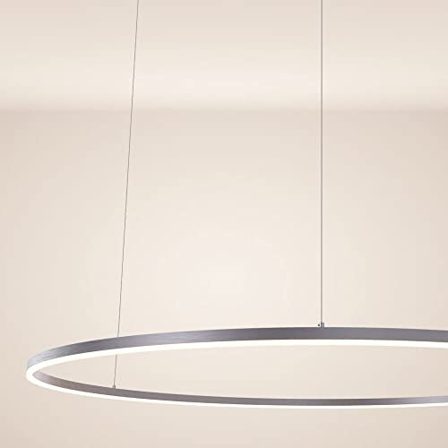 s.luce LED Ring Pendelleuchte rund Direkt oder Indirekt Hängelampe Wohnzimmerleuchte, Farbe:Aluminium, Größe:Ø 150cm