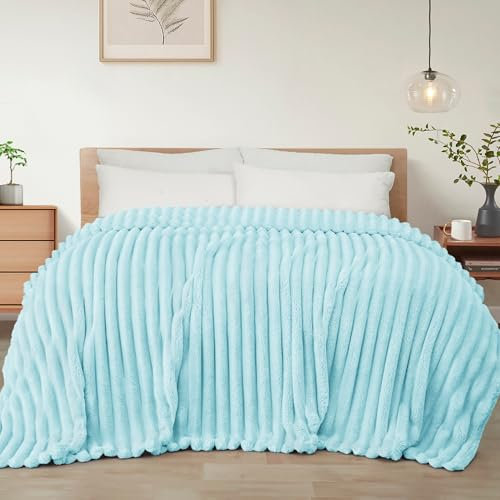 Exclusivo Mezcla Kuscheldecke Flauschig Fleecedecke Flanell Decke, Leichte und Warme Sofadecke Couchdecke für Ganzjahreszeit, 150 x 200 cm Hellblau
