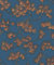 DesignID Vlies Tapete Pine Tree Nadelbaum Stick Textiloptik petrol blau kupfer WF121017