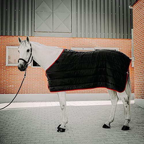 SUNRIDE Unterdecke für Pferde 300g - flexibel kombinierbar mit unseren Winterdecken und Regendecken (115 cm)