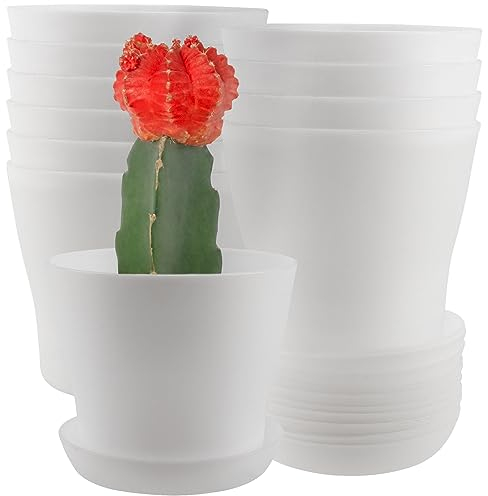 YIXNSW 10 macetas de plástico con platillo de plástico, macetas pequeñas de 9,5 cm, color blanco, para plantas suculentas, cactus, plantas pequeñas, interiores y balcones