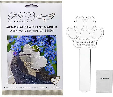 Marqueur de plante commémoratif avec graines Forget Me Not | Se souvenir de votre chat ou chien bien-aimé | Planter des graines d'amour et de souvenir | Cadeau de perte d'animal de compagnie pour