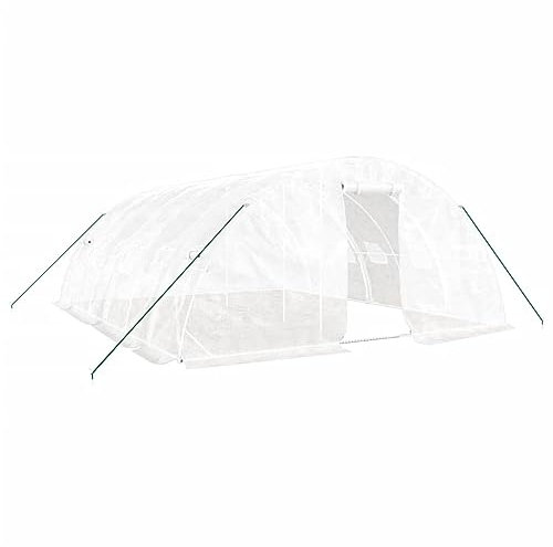 vidaXL Serre avec Cadre en Acier Blanc 30 m² 6x5x2,3 m, polytunnel, Serre à Cadre Froid, Serre pour Tomate, Serre de Jardin, Serre pour Culture