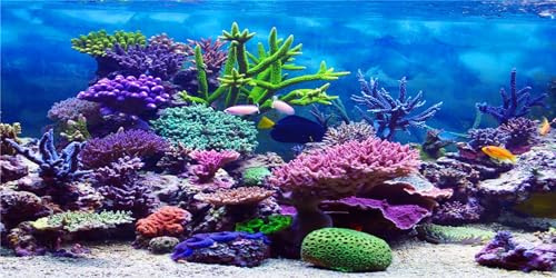 MIRRORANG 61x30cm Durevole Vinile Subacqueo Tema Acquario Sfondo Colorato Corallo Pesce Tropicale Sottomarino Mondo Pesce Serbatoio Poster Sfondo
