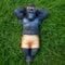 The Enchanted Garden RP044 Gartenfigur Chilling Gorilla Affe aus Kunstharz, 44 cm, Deko-Skulptur, groß, schwarz, orange