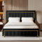 Mutuolux Lit Coffre 160x200 de Rangement avec Tête de Lit Matelassée, Lits Double avec Hydraulique et sommier à Lattes,Cadre en Velours Noir avec Bordures Dorées,pour Adolescents et Adultes,Noir
