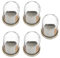 Gadpiparty 5Sets Glass Dome with Base for DIY Micro Landscape Plant Display Cover with Tray for Home Decoration and Giving