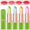 4 Stück Magischer Temperatur Farbwechsel Aloe Vera Lippenstift, Dulele Wasserdichte Langlebige Lippenbalsam Pflegender Lippenstift Kosmetik Make up (EEE)