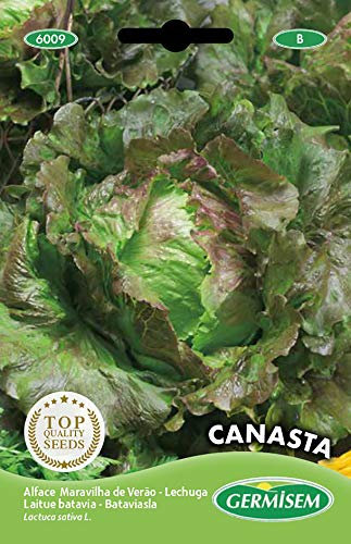 Germisem Canasta Semi di Lattuga 5 g