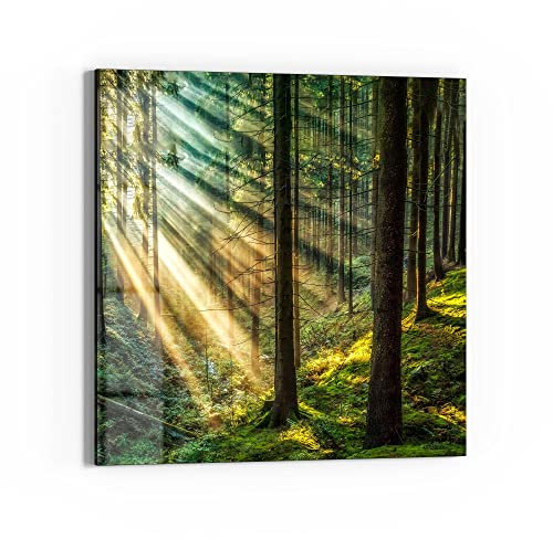 DEQORI Glasbild Acrylglas | Motiv Licht durchbricht Bäume | quadratisch einteilig 50x50 cm | schöne Dekoration | Wandbild für Wohnzimmer, Schlafzimmer, Flur & Küche | moderne Wanddeko