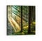 DEQORI Glasbild Acrylglas | Motiv Licht durchbricht Bäume | quadratisch einteilig 50x50 cm | schöne Dekoration | Wandbild für Wohnzimmer, Schlafzimmer, Flur & Küche | moderne Wanddeko