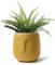 GeLive Head Pot de fleurs en céramique avec motif statue moderne avec trou de drainage, décoration d'intérieur et d'extérieur, yeux dorés (jaune)