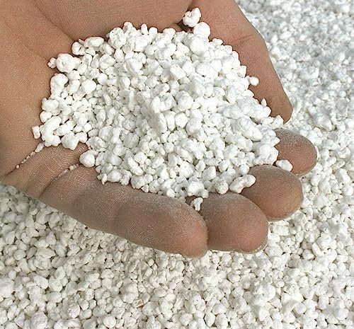 Bigbudz Premium Horticultural Perlite Potting Compost, 1L, 2L, 5L, 10L 20L 50L (1L)