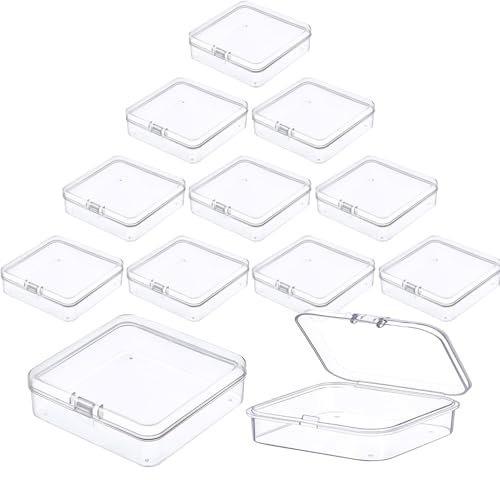 Prmape 12 Piezas Caja Con Tapa, 9.5x9.5x2,8cm Cajas Plastico Pequeñas Transparentes Con Tapa De Bisagra, Mini Caja Plastico Almacenaje para Guardar Accesorios y Objetos Pequeños