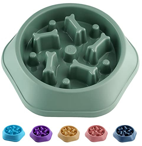 CAISHOW Slow Feeder Dog Bowl Slow Food Feeding Pet Bowl Slow Eating Healthy Design for Small Medium Size Dogs