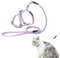 Katzengeschirr mit Leine Ausbruchsicher Katzengeschirr Leine Einstellbarer Katzenleine mit Geschirr für Kleine Mittlere Katzen Freien Gehen, Farbverlauf Lila
