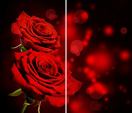 DAMU | Herdabdeckplatte 2teilig 2x30x52 Herdabdeckung Ceranfeld Glasschneideplatte Ceranfeldabdeckung Herdplattenabdeckung Kochfeld Abdeckung Schneidebrett Glasplatte Rot Natur