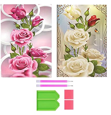 DOUKOYEE 5D DIY Diamond Painting Kinder Erwachsene Blumen Rose Bilder Malerei Bunt Muster Stickerei Kits 5D Diamantmalerei Home Wanddekoration Wohnzimmer Schlafzimmer Eingang Dekoration (C)