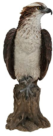 Vviid Arts WBC-OSPR-A Gartendekoration, Vögel, Osprey