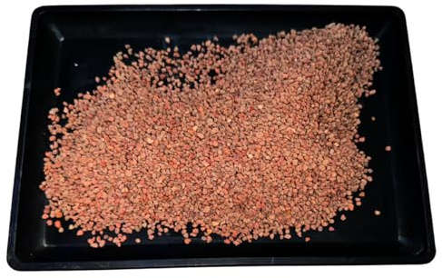 BonsaiPro Lapillus Optima Lapillo Vulkan Substat, Mulch, für Zierpflanzen und Bonsai Extra feine Körnung