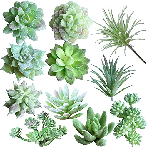 Künstliche Sukkulenten,11 Stück Künstliche Sukkulenten Mini Sukkulenten Sukkulenten Set für Zuhause Indoor Fairy Garden Dekorationen