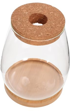 VILLCASE Glas Terrarium Flasche Transparent DIY Pflanzen Flaschengarten für Hydroponik Dekoration Wohnzimmer Büro Geschenk Mikrolandschaft Ökologische Vase