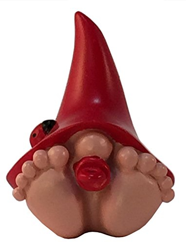 GlitZGlam Jasper Bébé Nain géant Miniature - Le Bébé Nain avec Le Chapeau Rouge pour Jardin Féerique et de Nains - Baby GNOME (15,2 cm de Hauteur)